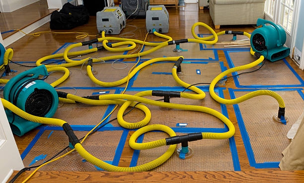 Professional Crawl Space Water Removal technician working in Breezy Point, MN